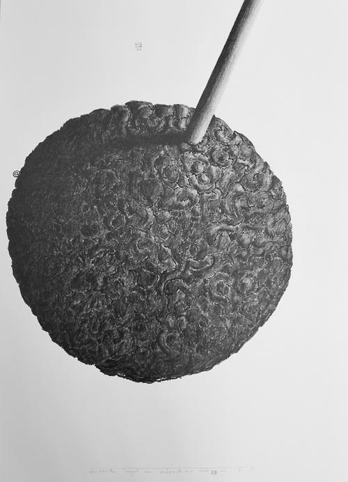 kugel für foucault